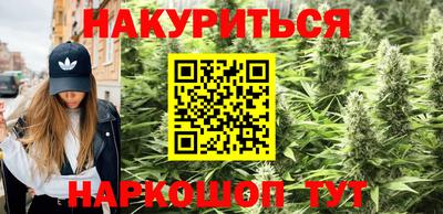 шишки Ярославль