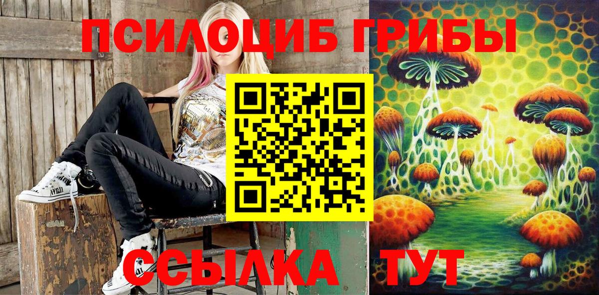 Псилоцибиновые грибы мухоморы Алушта